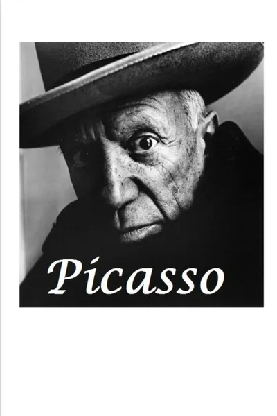 Обложка книги Picasso, Vincent Price