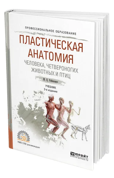 Обложка книги Пластическая анатомия человека, четвероногих животных и птиц, Рабинович Михаил Цезаревич