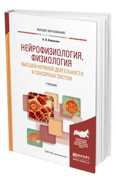 Обложка книги Нейрофизиология, физиология высшей нервной деятельности и сенсорных систем, Ковалева Анастасия Владимировна