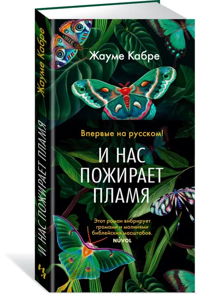 Обложка книги И нас пожирает пламя, Кабре Жауме