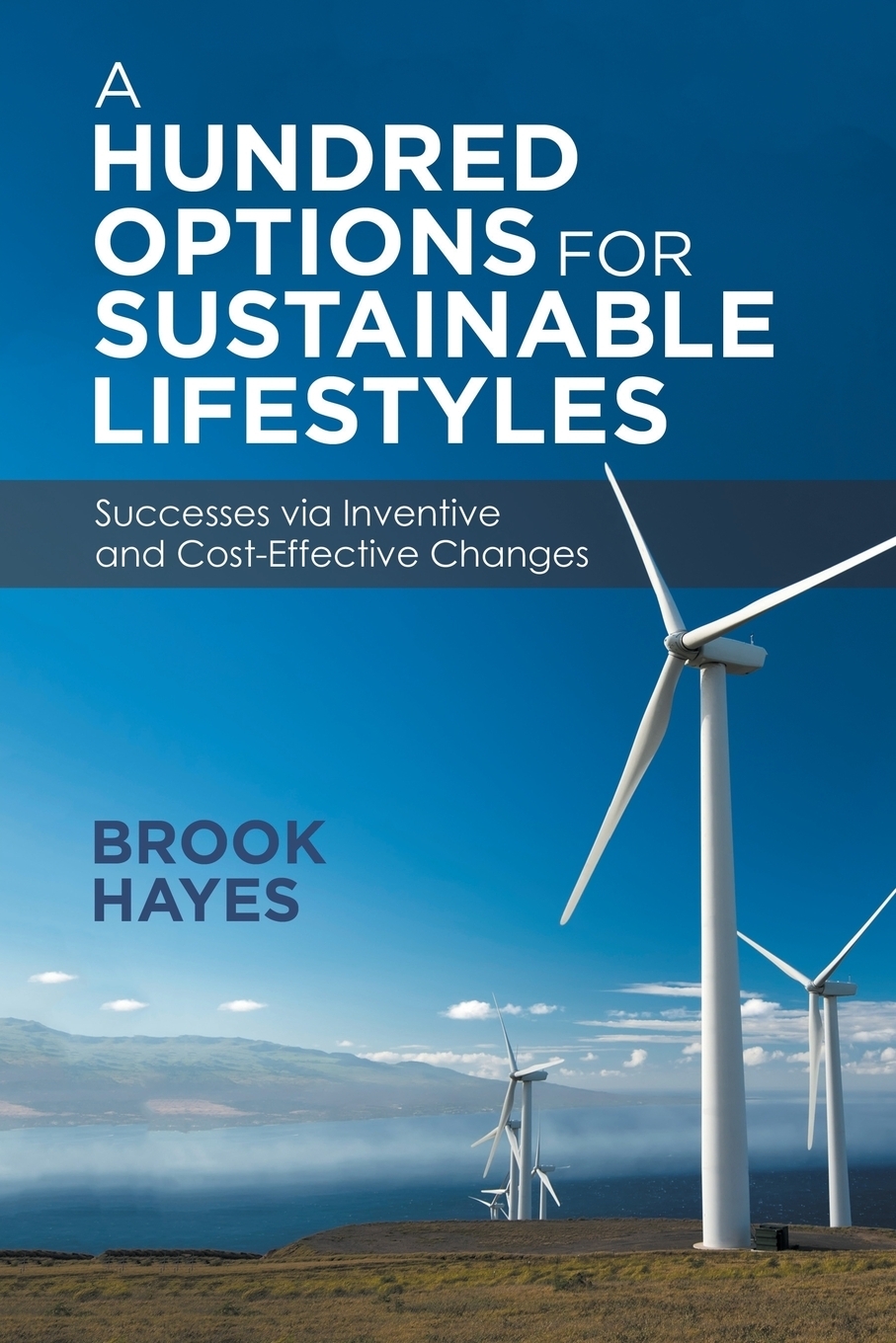A Hundred Options For Sustainable Lifestyles. Successes via Inventive and Cost-Effective Changes