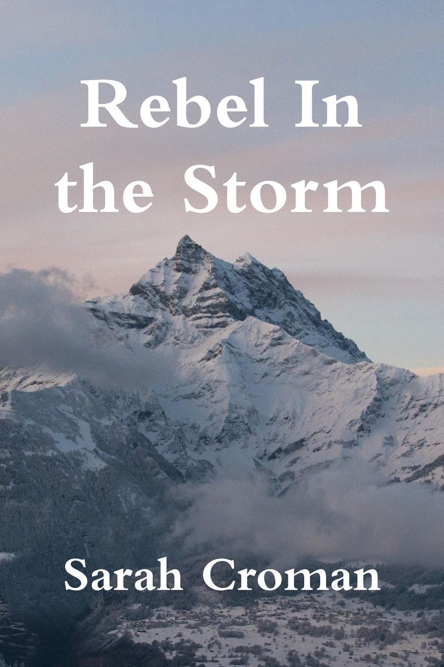 фото Rebel In the Storm