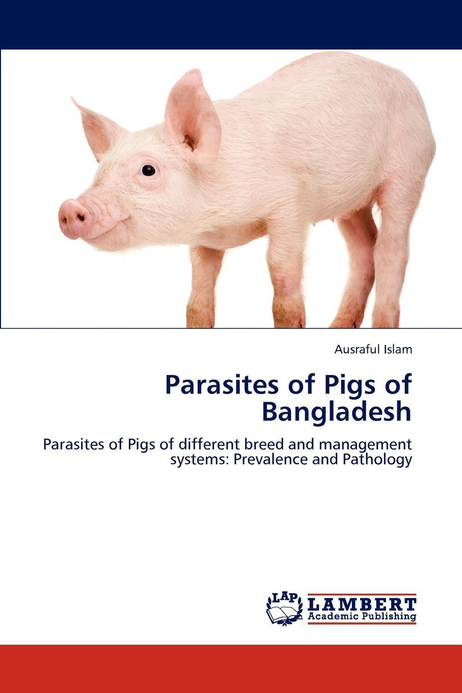 фото Parasites of Pigs of Bangladesh