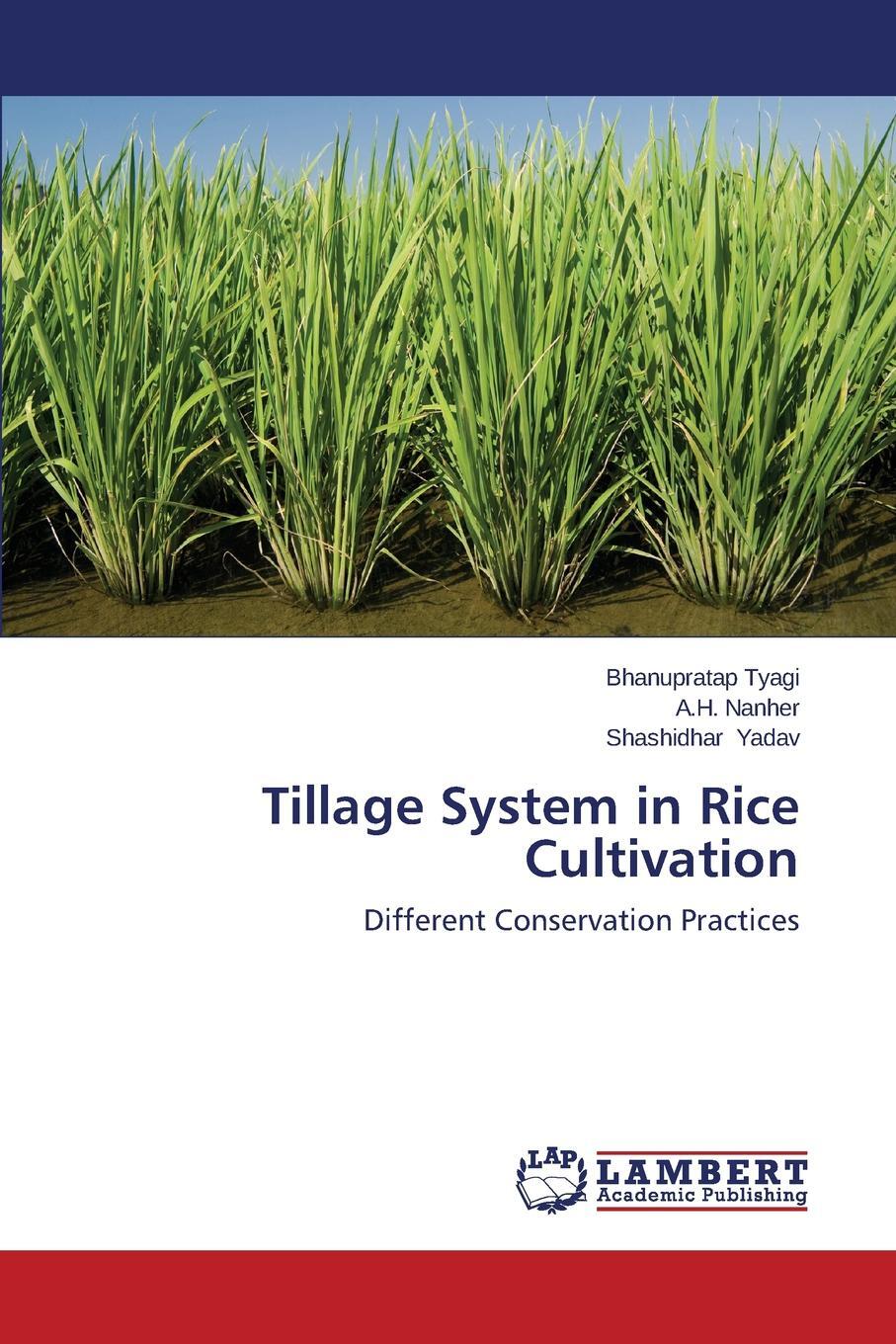 фото Tillage System in Rice Cultivation
