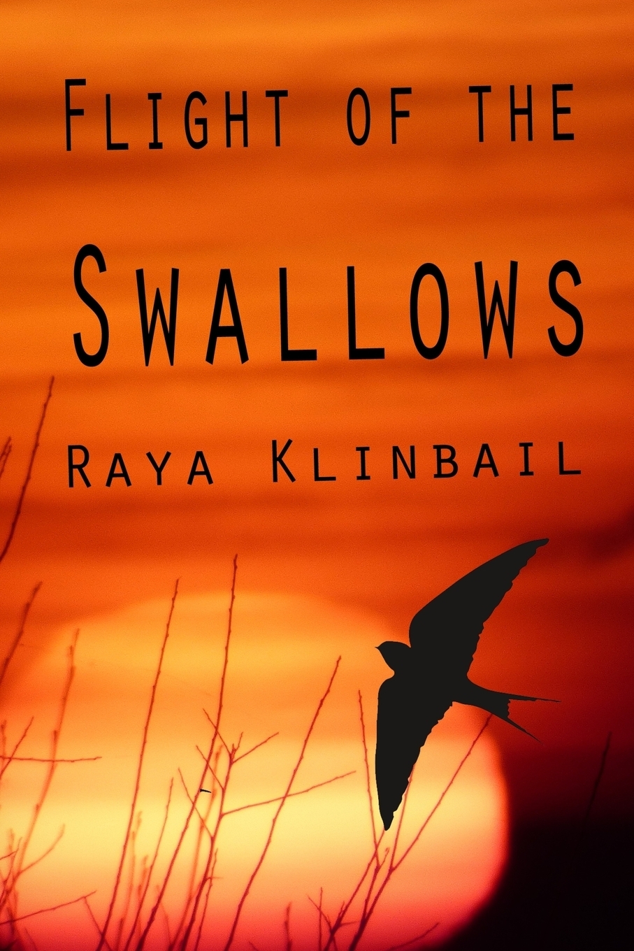 фото Flight of the Swallows