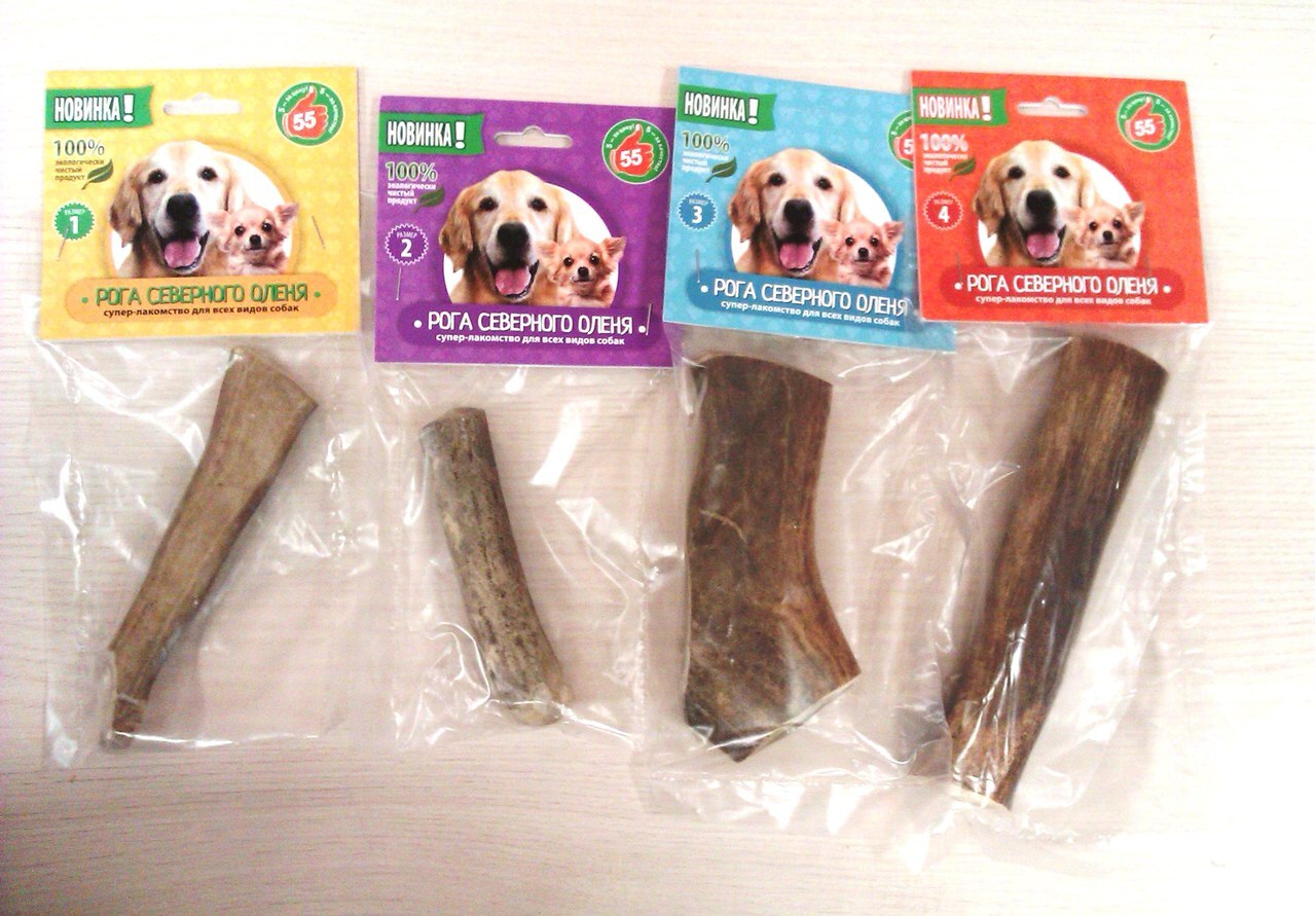 панты оленя для собак. можно ли собаке рога. собака грызёт рог оленя. титбит рога оленя. рог северного оленя лакомство для собак.