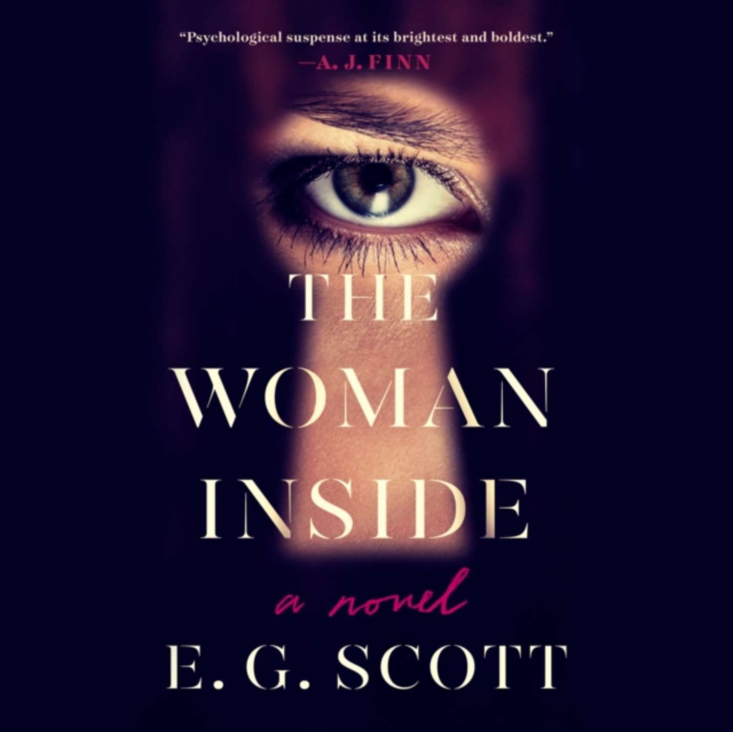 The woman who disappeared. Woman inside. He woman who disappeared Audiobook.