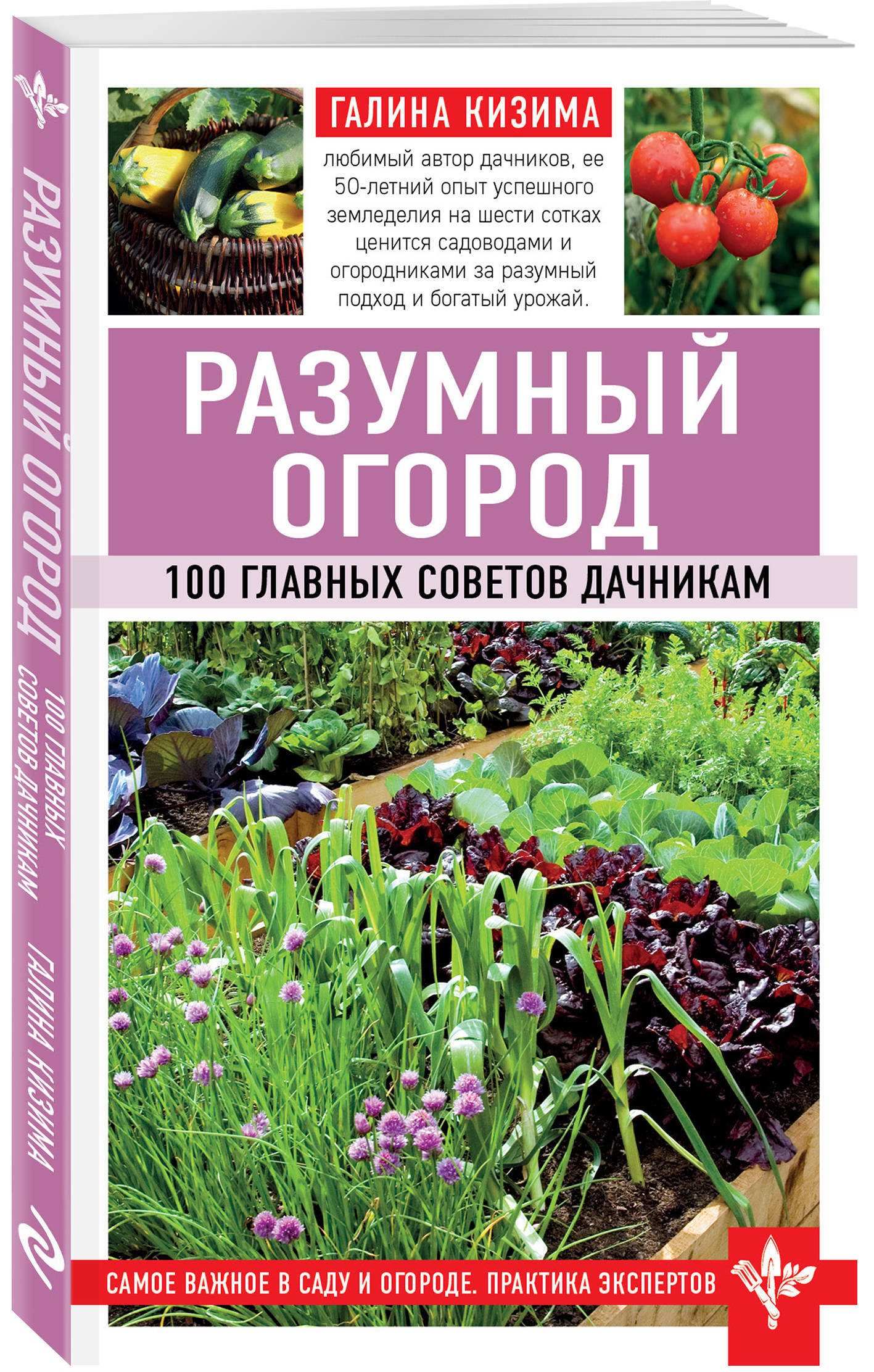Галина Кизима Книги Купить
