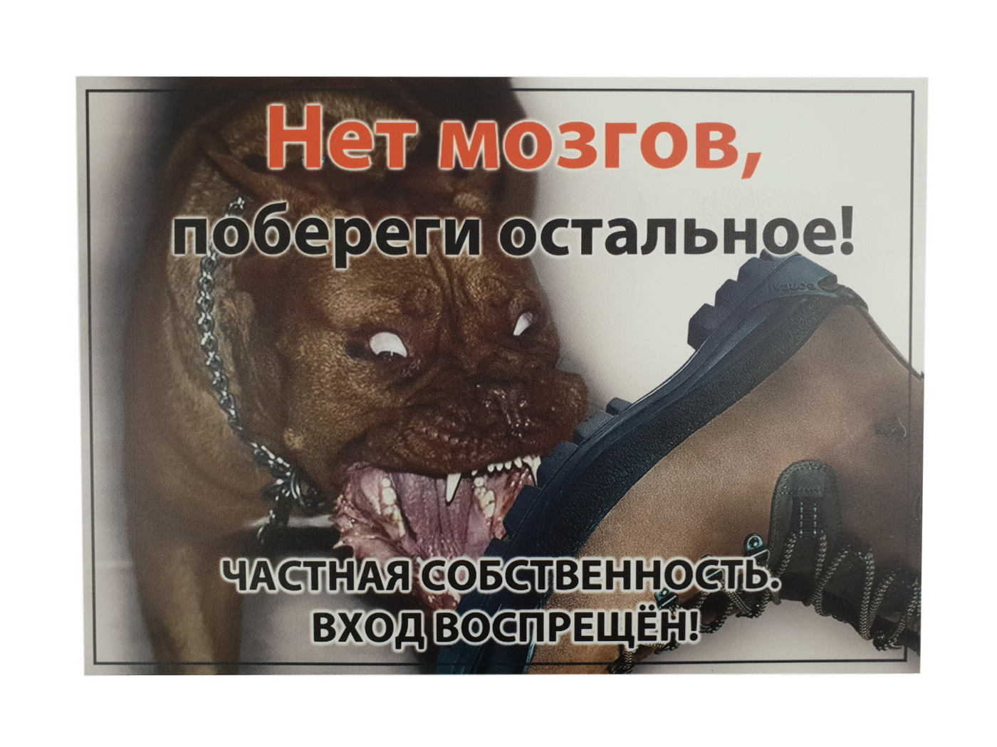 Дарю тебе мозги. Картинки мозгов нет. Картинки мозгов нет. Картинки мозгов нет. Пустой мозг картинки.