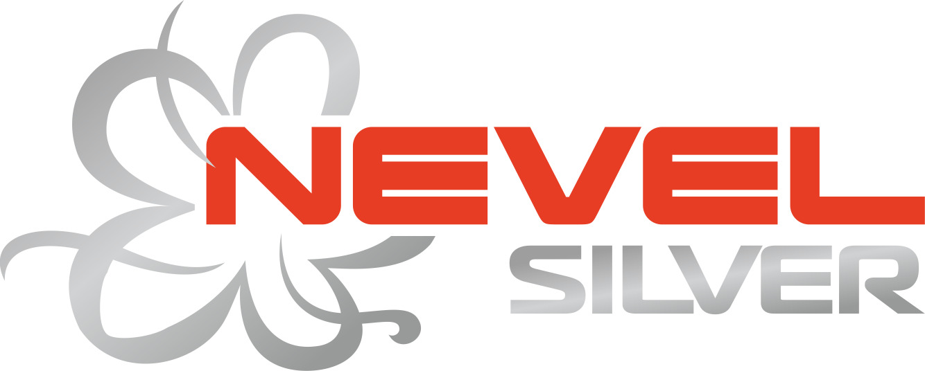 Nevel Silver — купить товары Nevel Silver в интернет-магазине OZON