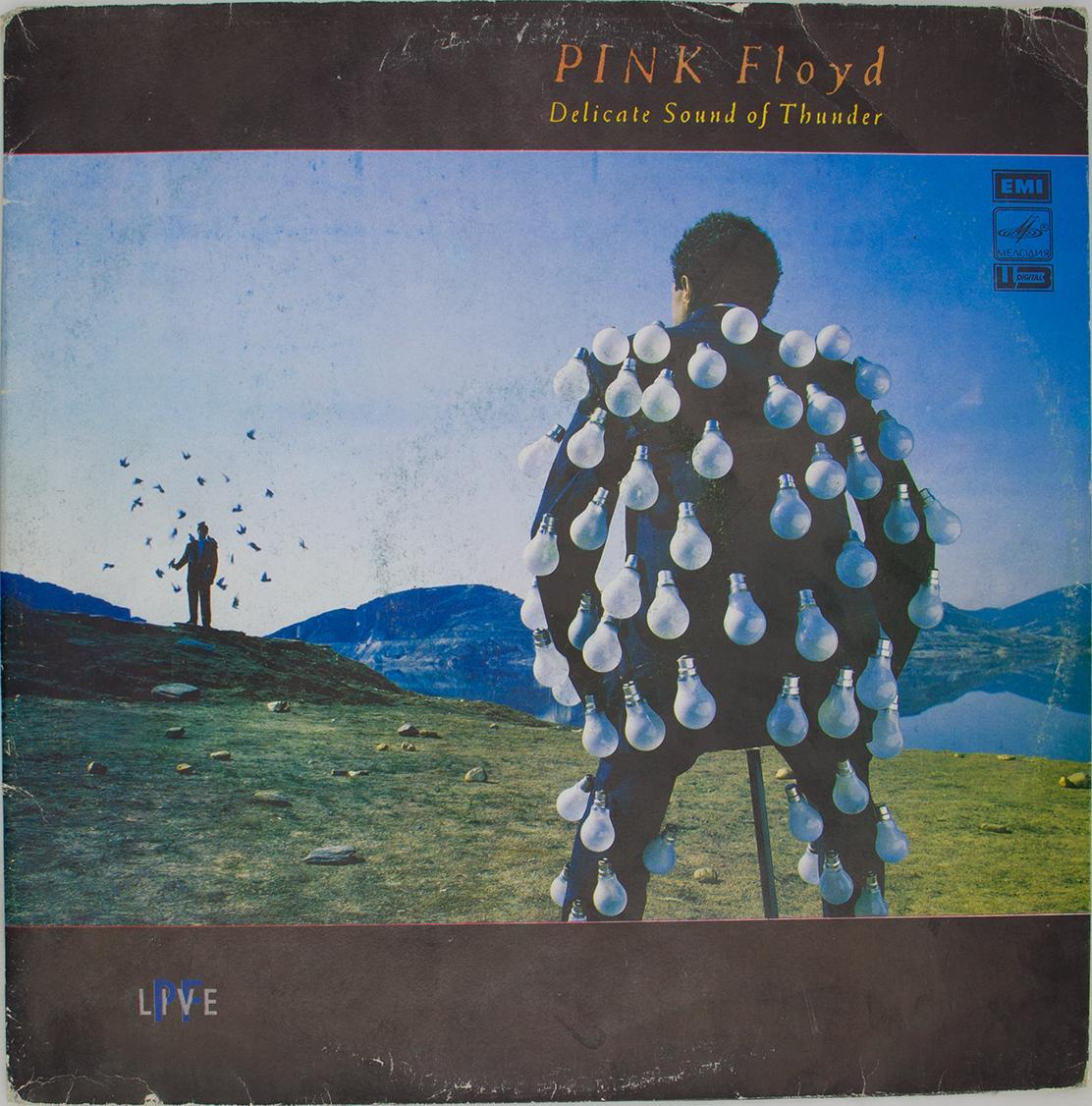 Флойд альбом. Pink Floyd delicate Sound of Thunder пластинка. Pink Floyd delicate Sound of Thunder 1988 пластинка. Pink Floyd / delicate Sound of Thunder (2lp). Pink Floyd delicate Sound of Thunder винил.