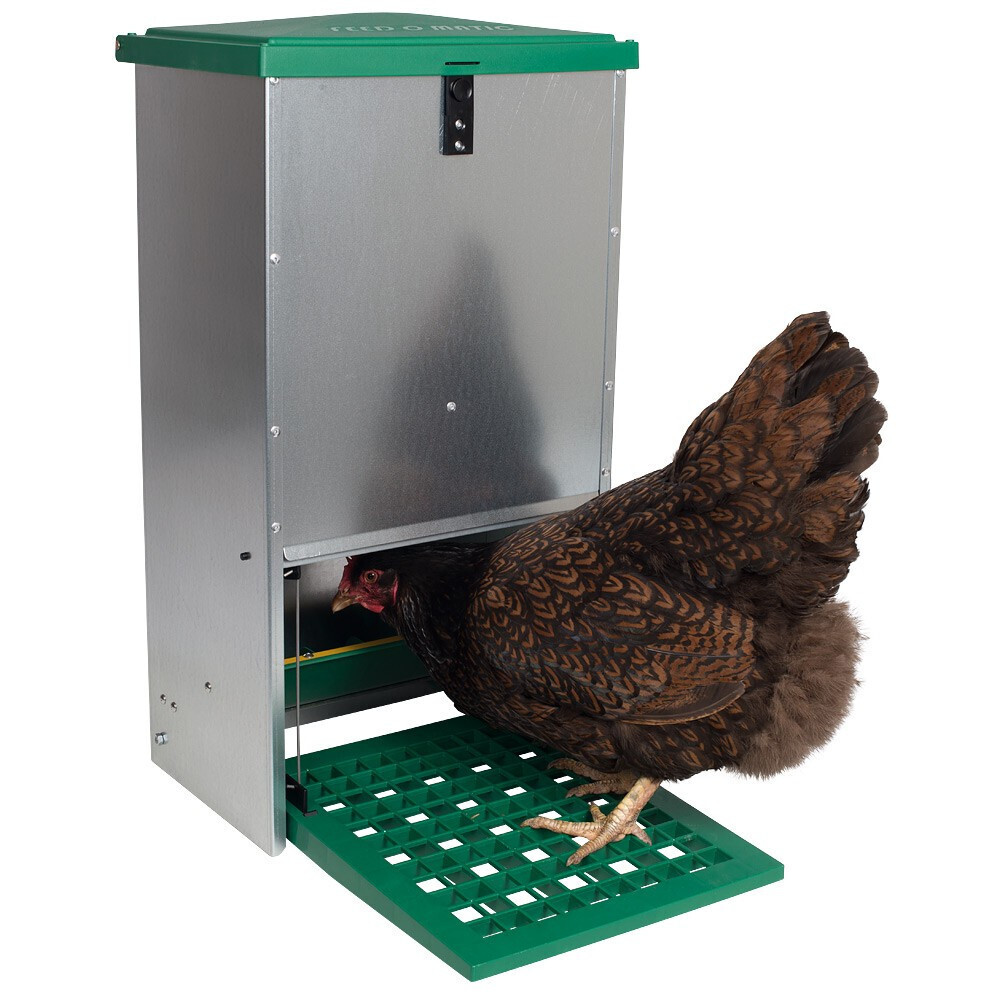 Автоматическая кормушка для птиц eg100
