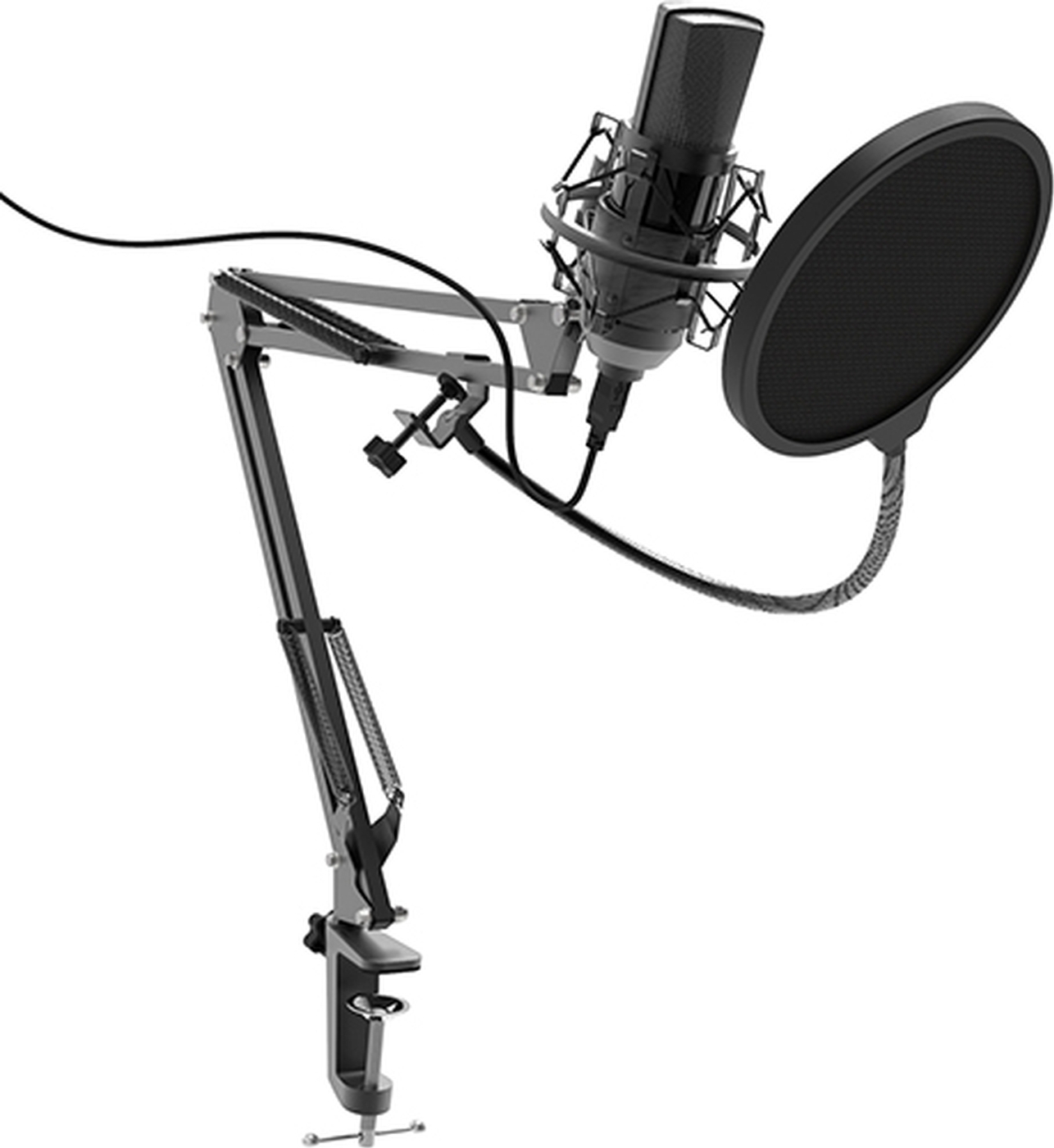 Микрофон для конференций Ritmix RDM-180 - купить по выгодной цене в ...