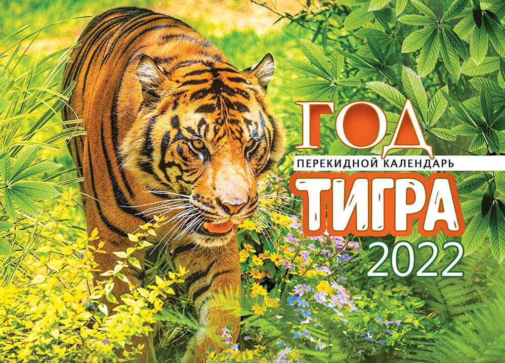 Новый Торренты 2022 Года Новый Торренты 2022 Года