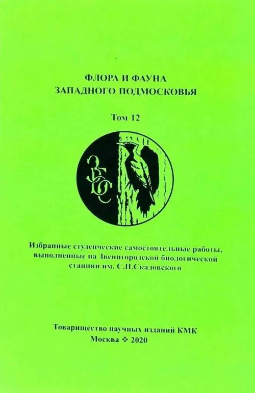 Идеи на тему «Флора и фауна» () | поделки, искусство при помощи листьев, рукоделие