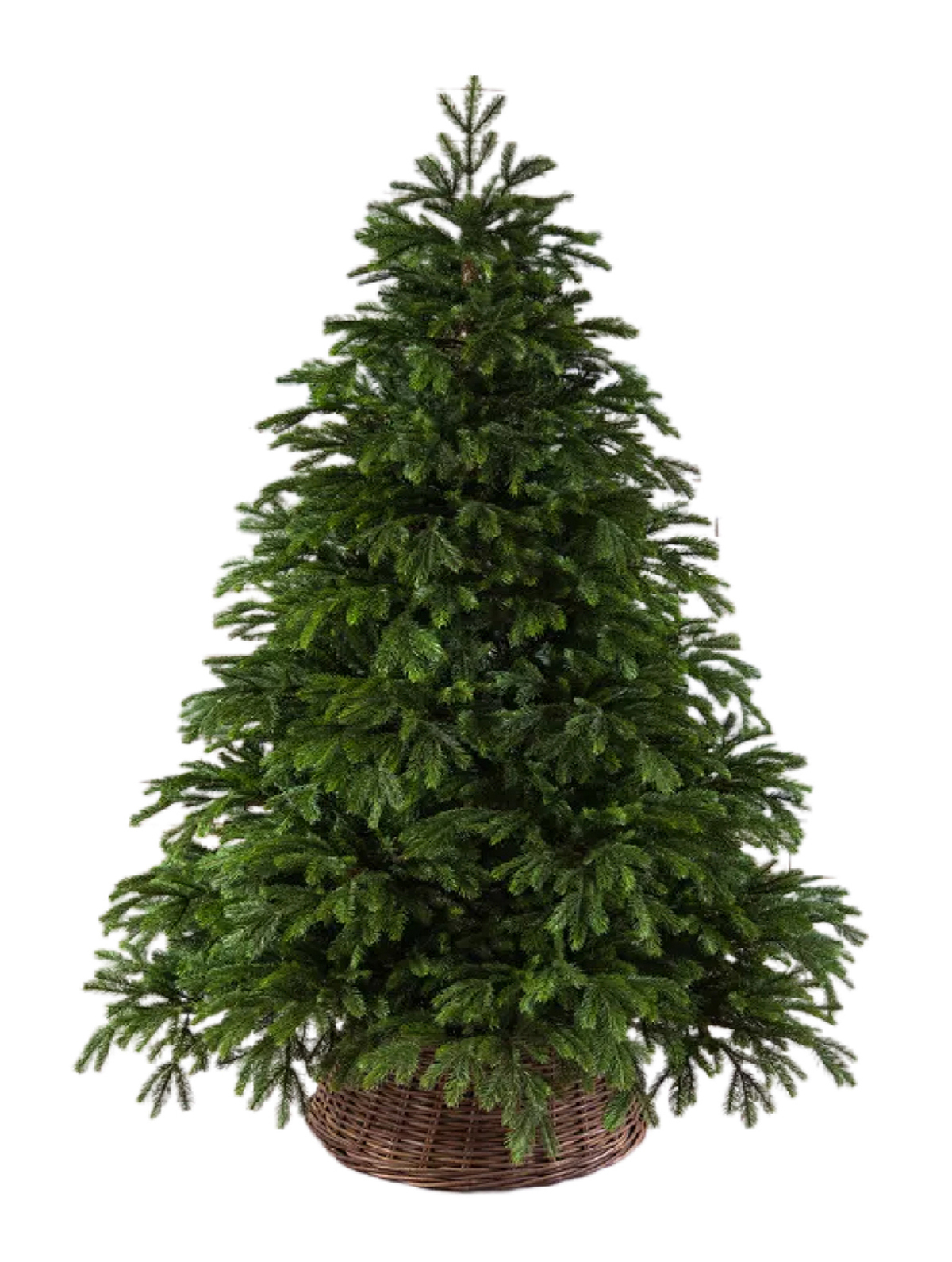 85 м. Black box елка коттеджная 215. Black box ель искусственная коттеджная full ре 1. Ель искусственная высота 230. Литая елка что это значит.