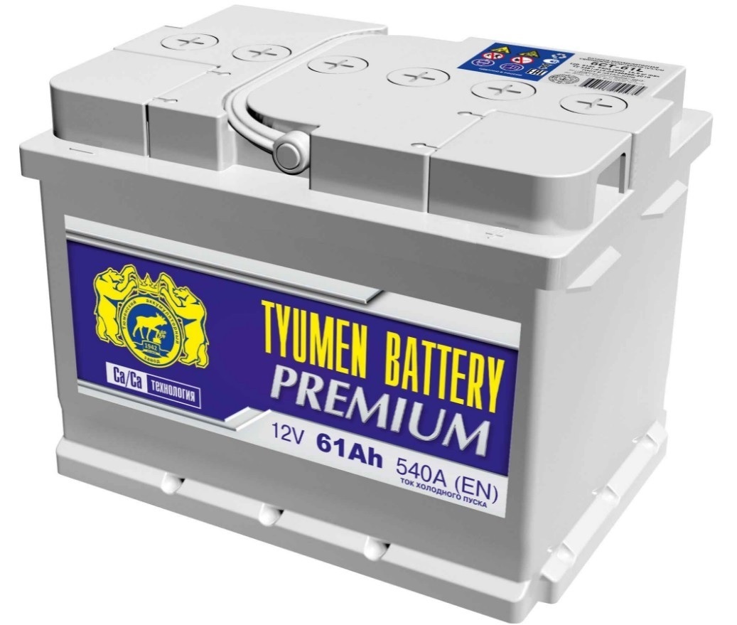 Аккумулятор автомобильный Tyumen Battery Tyumen Premium 61 купить по  выгодной цене в интернет-магазине OZON (372234005)