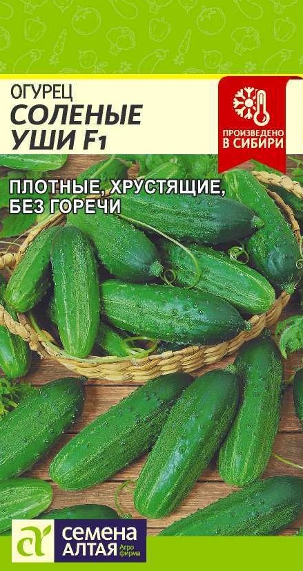 Огурцы соленые уши фото