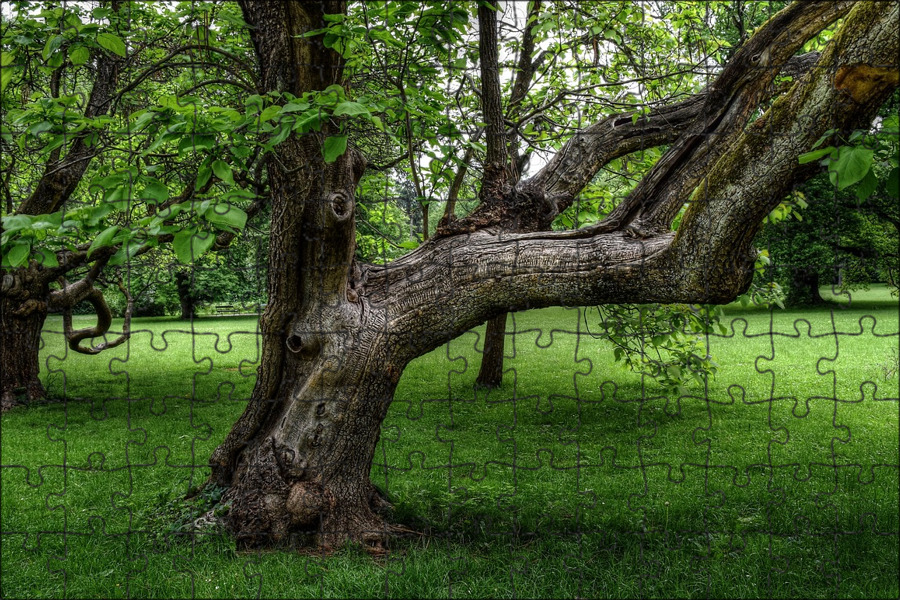 Bonsai Vibes слушать онлайн на Яндекс Музыке