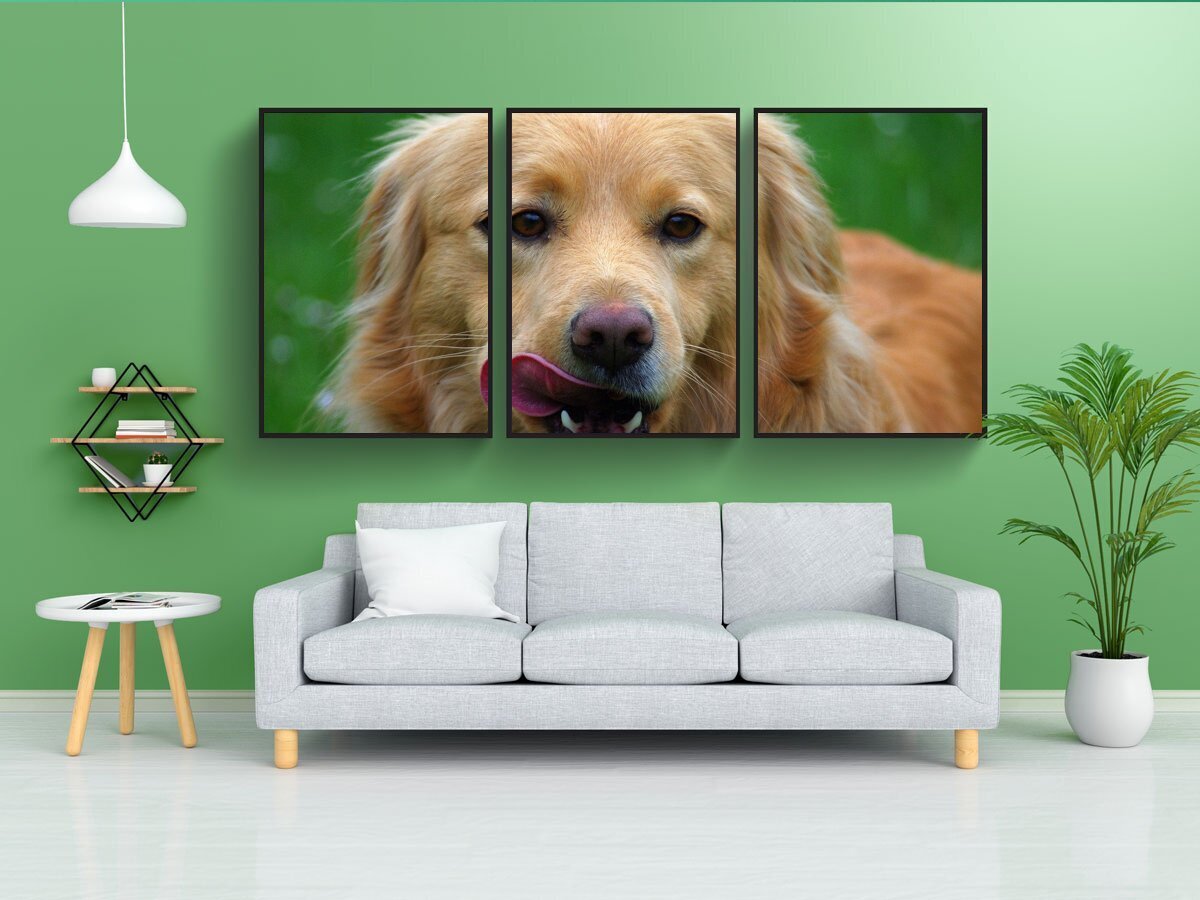 Постер собаки. Постеры с собаками. Мини постеры для собак. Постер собака дзен.
