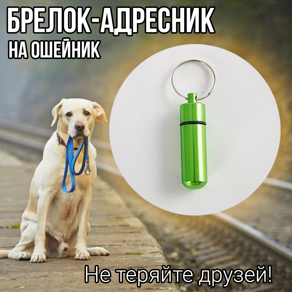 ZooHub / адресник для собак / адресник / адресник для кошки / подвеска на  ошейник / адресник для собак на ошейник / медальон / медальон открывающийся  / медальоны для собак / медальон