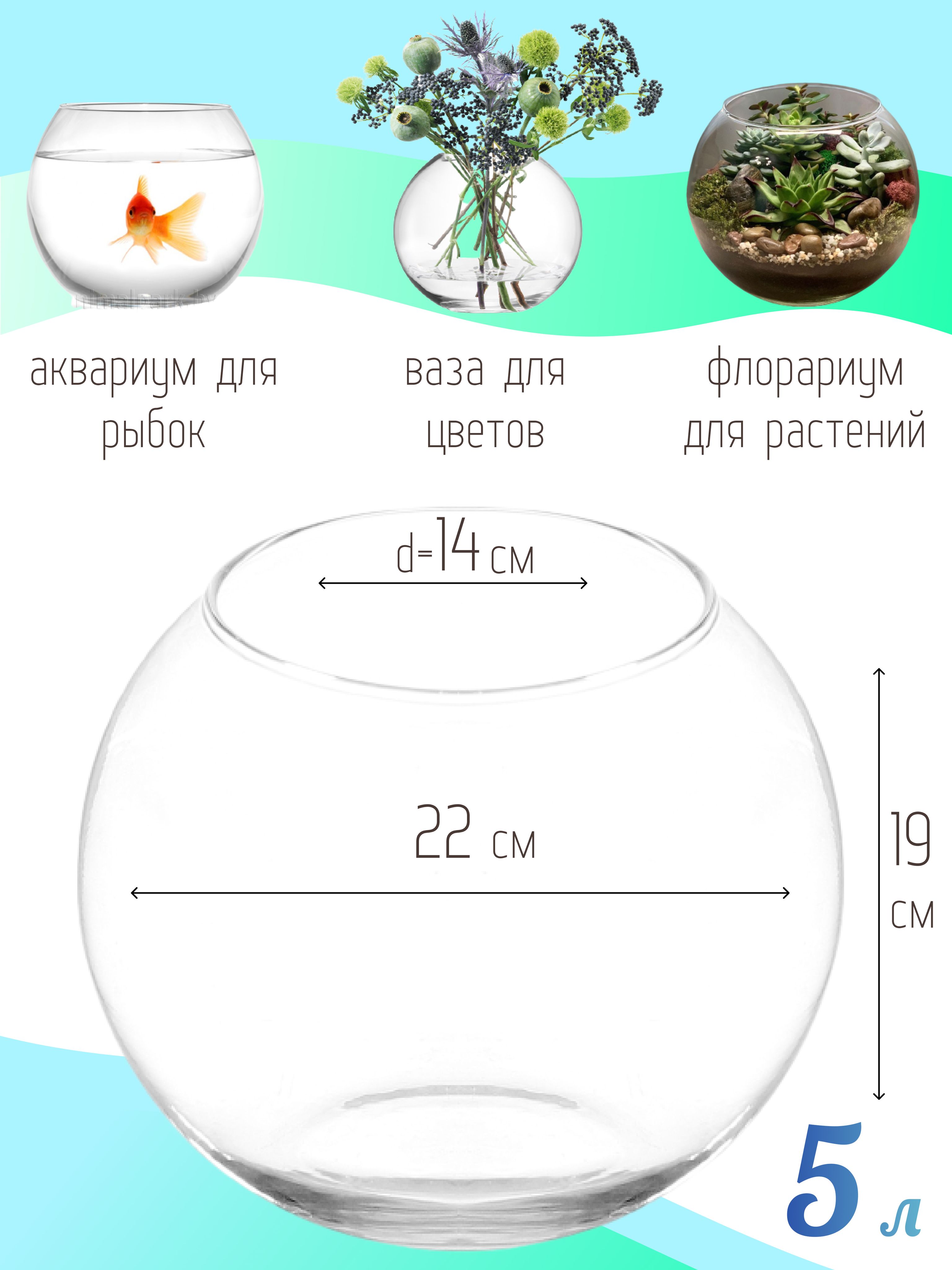 Круглая настольная прозрачная стеклянная ваза / Аквариум шар для маленьких рыб, петушков 5 литров