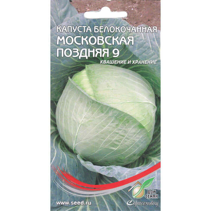 Капуста московская поздняя описание сорта фото отзывы: найдено 75 картинок