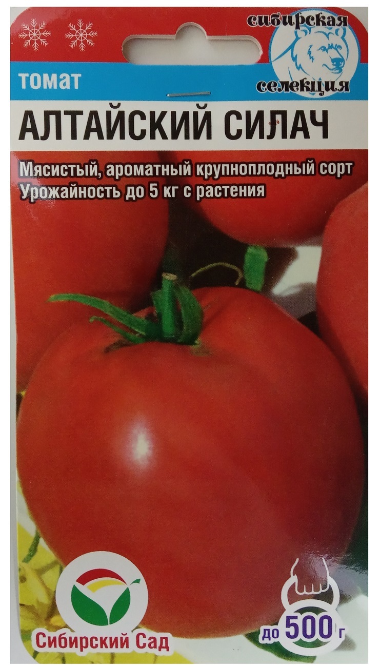 Семена томат Алтайский силач