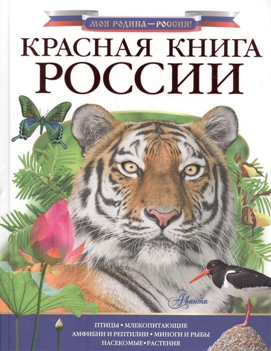 Красная Книга Для Детей Фото