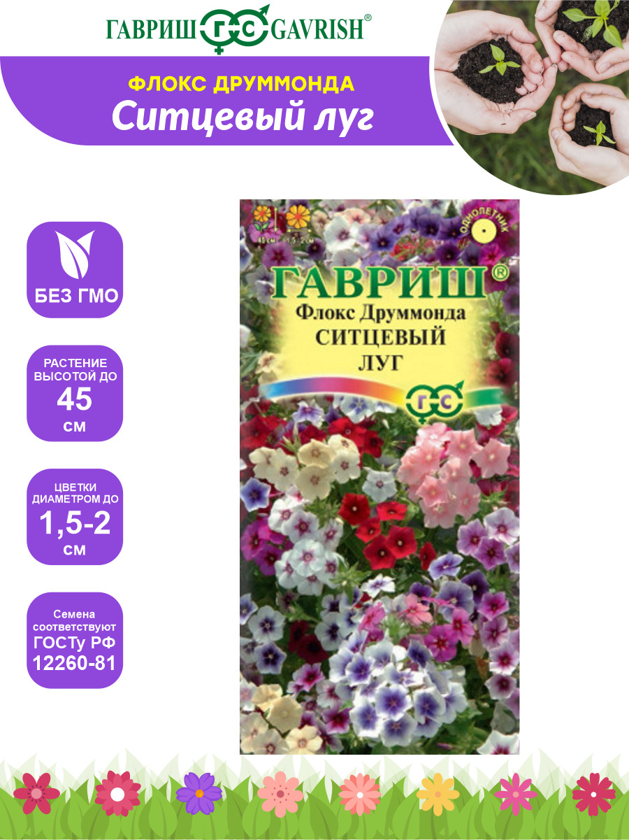 Ситцевый рай флоксы