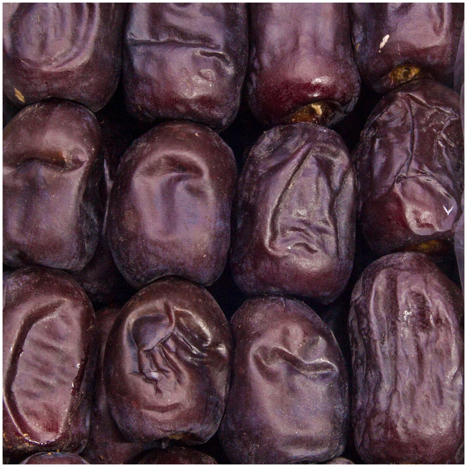 финики оаэ. финики бойкот. финики свежие. финики сафави. финики сушеные илкин.