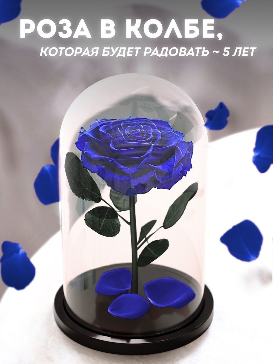 Живая роза в колбе Premium цветы для интерьера, подарок маме
