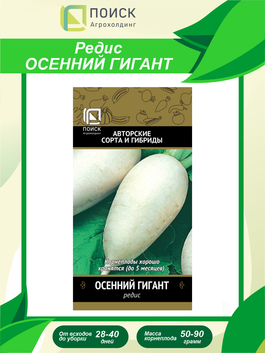 Редис осенний гигант. Редис гигант. осенний великан редис. редька осенний гигант.