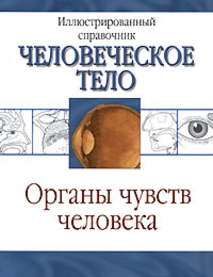 5 чувств человека книга. Книги про органы чувств. Справочник органов тела. Книга про органы человека.