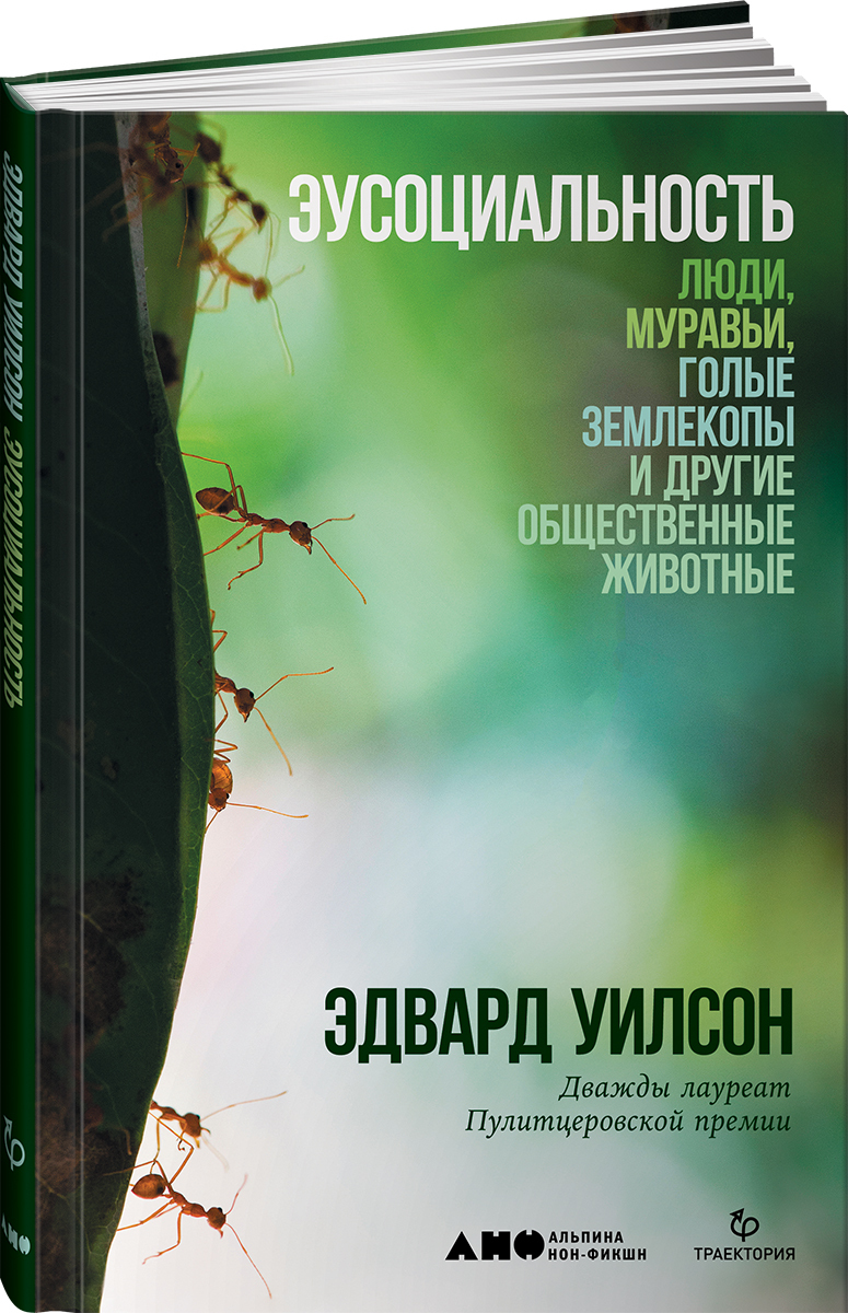 Магнета на Муравей – купить в интернет-магазине OZON по низкой цене