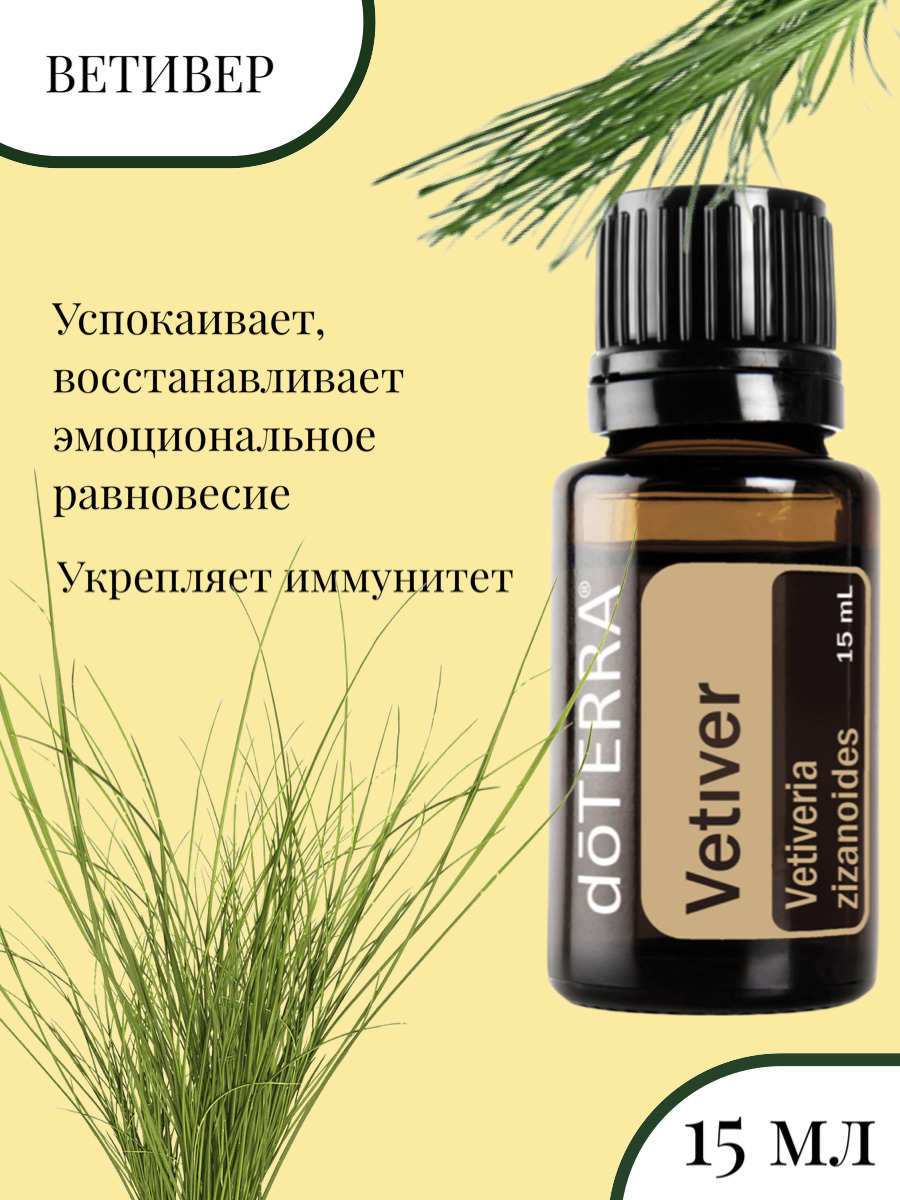 Ветивер магические. Ветивер в природе. Ветивер трава. Ветивер магические. Эфирное масло vetiver.