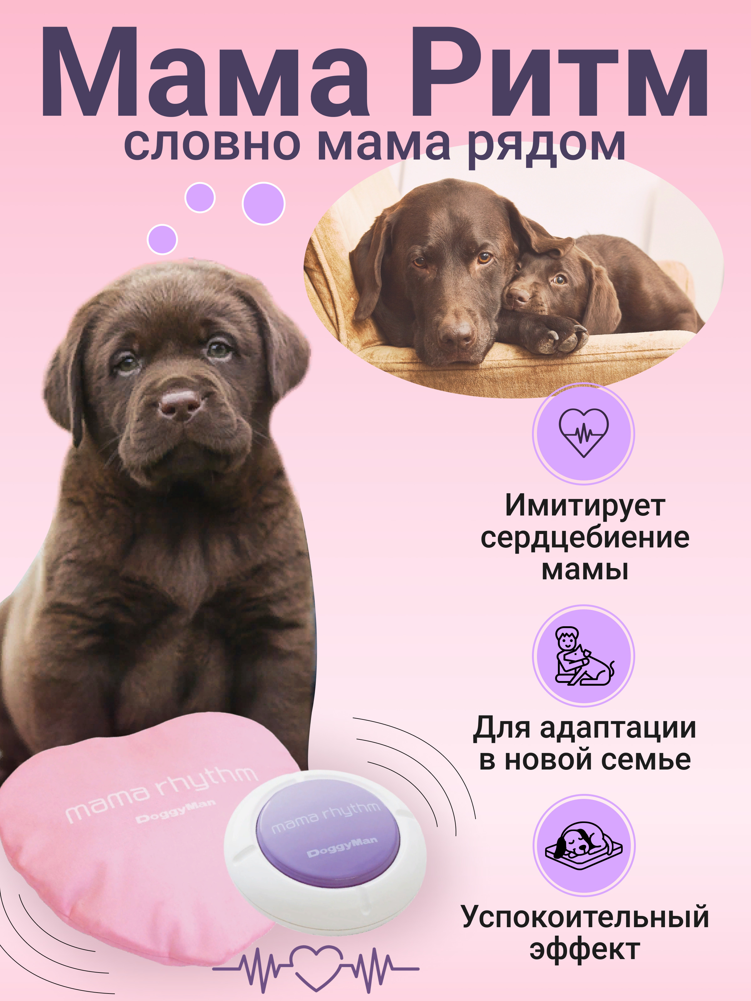 Подушка антистресс Japan Premium Pet для тревожных щенков/котят,  разлученных с мамой (Мама Ритм) - купить с доставкой по выгодным ценам в  интернет-магазине OZON (493860312)