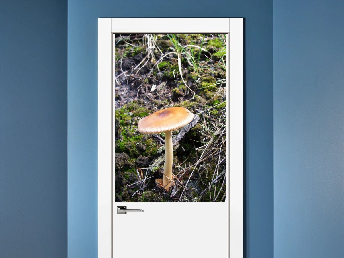 Цвет mushroom в интерьере