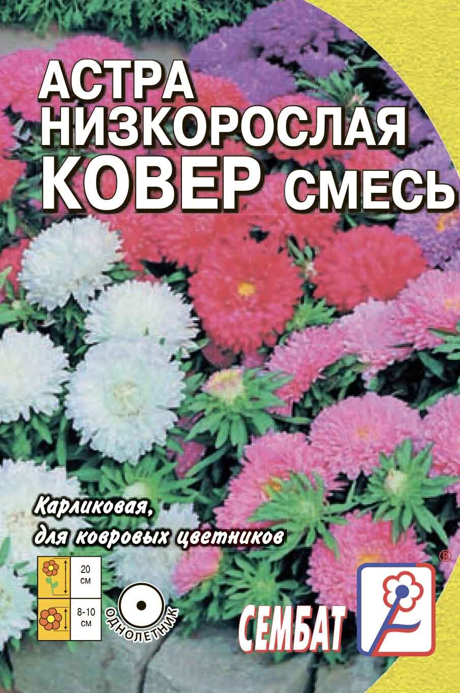 Астра низкорослая ковер смесь