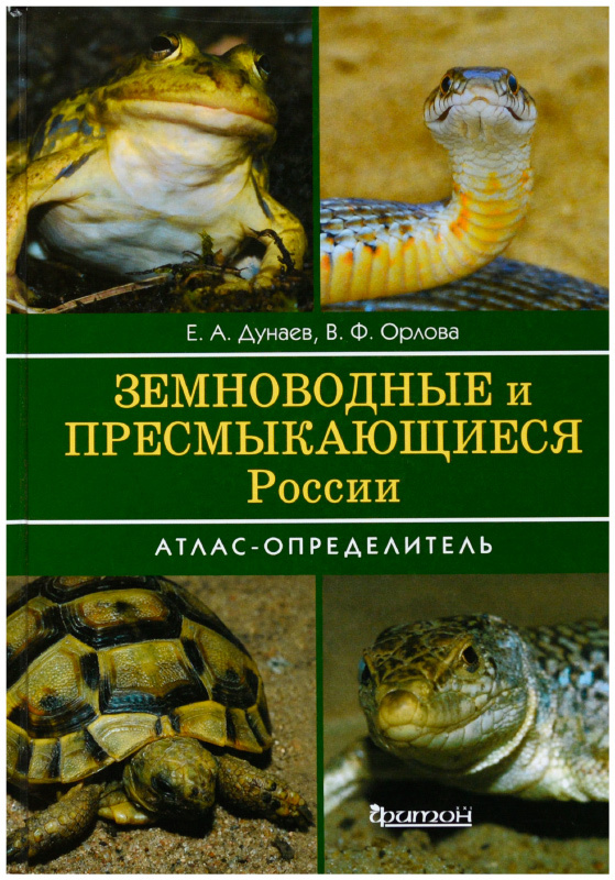 Пресмыкающиеся: кто это, какие виды бывают