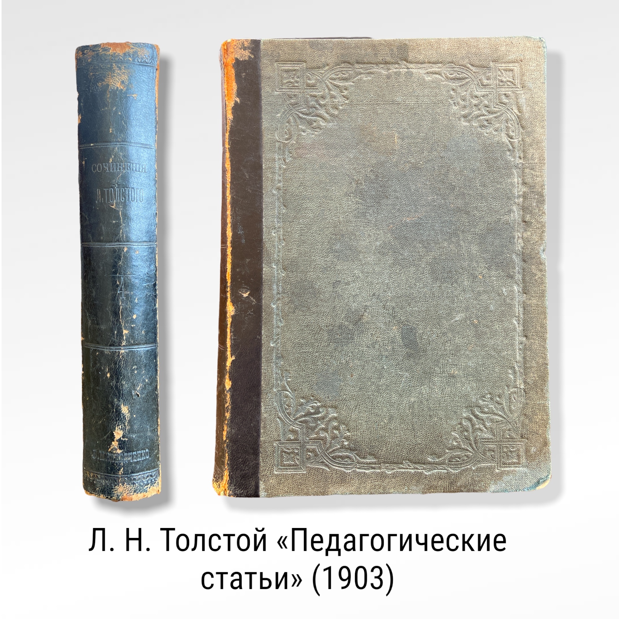 дневник ясный