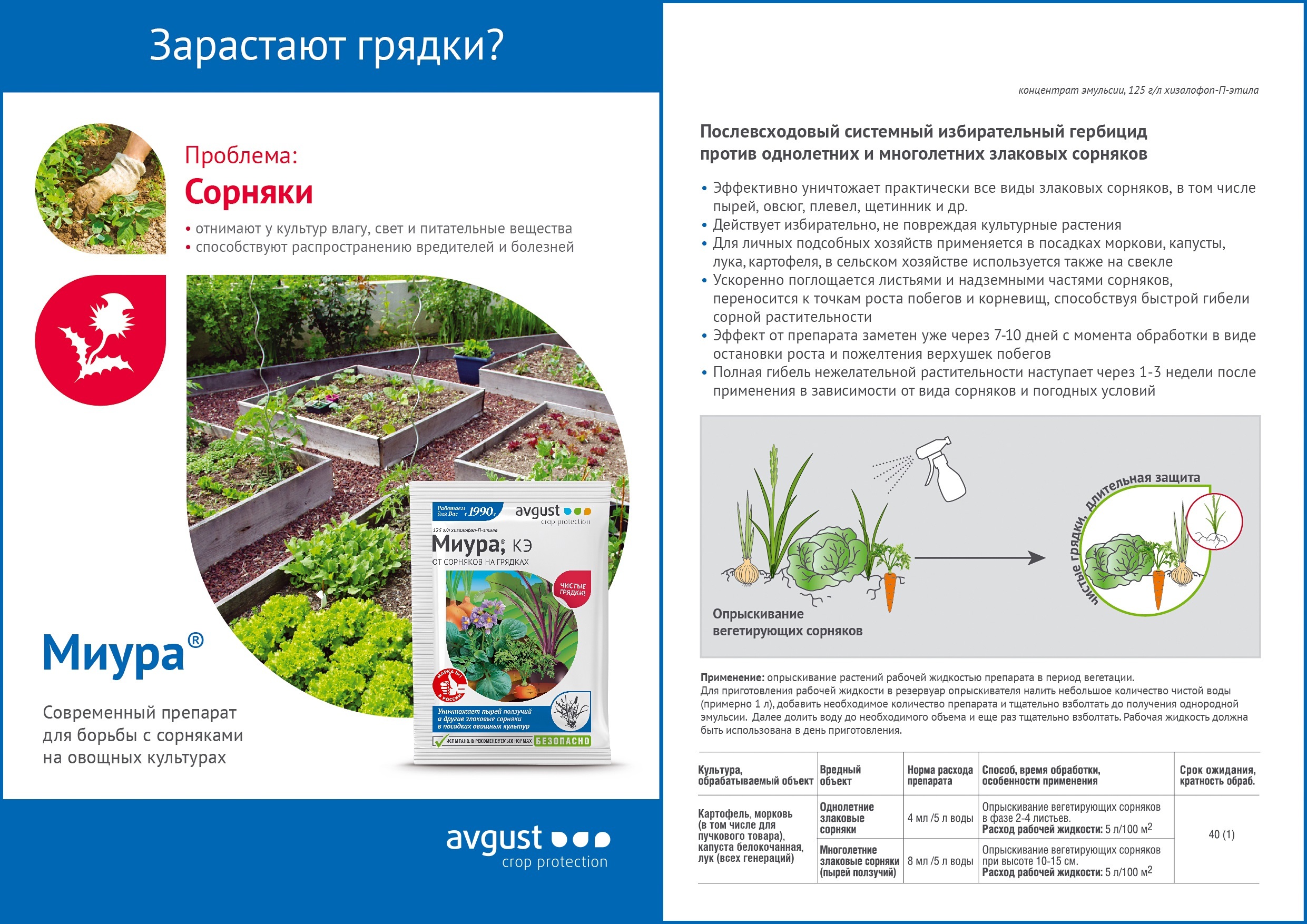 Избирательный гербицид от сорняков. Гербицид Миура (4 мл) avgust. Гербицид Миура 12 мл. Миура 12мл. (От сорняков) август х80. Миура КЭ от сорняков.