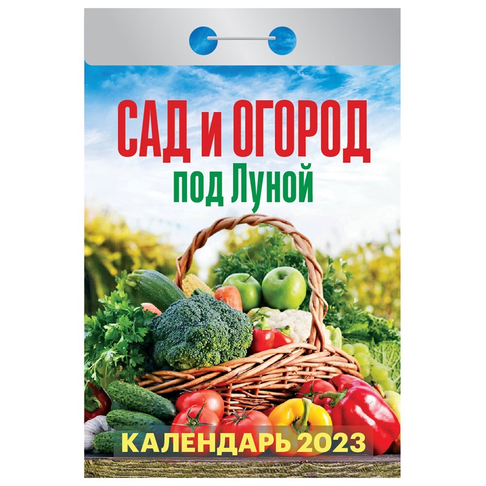 Купить отрывной календарь на 2025 лунный