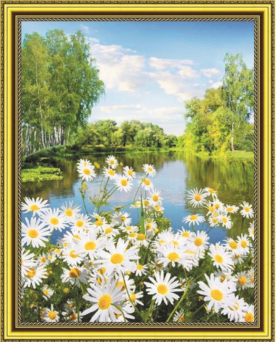 Пейзажи с ромашками