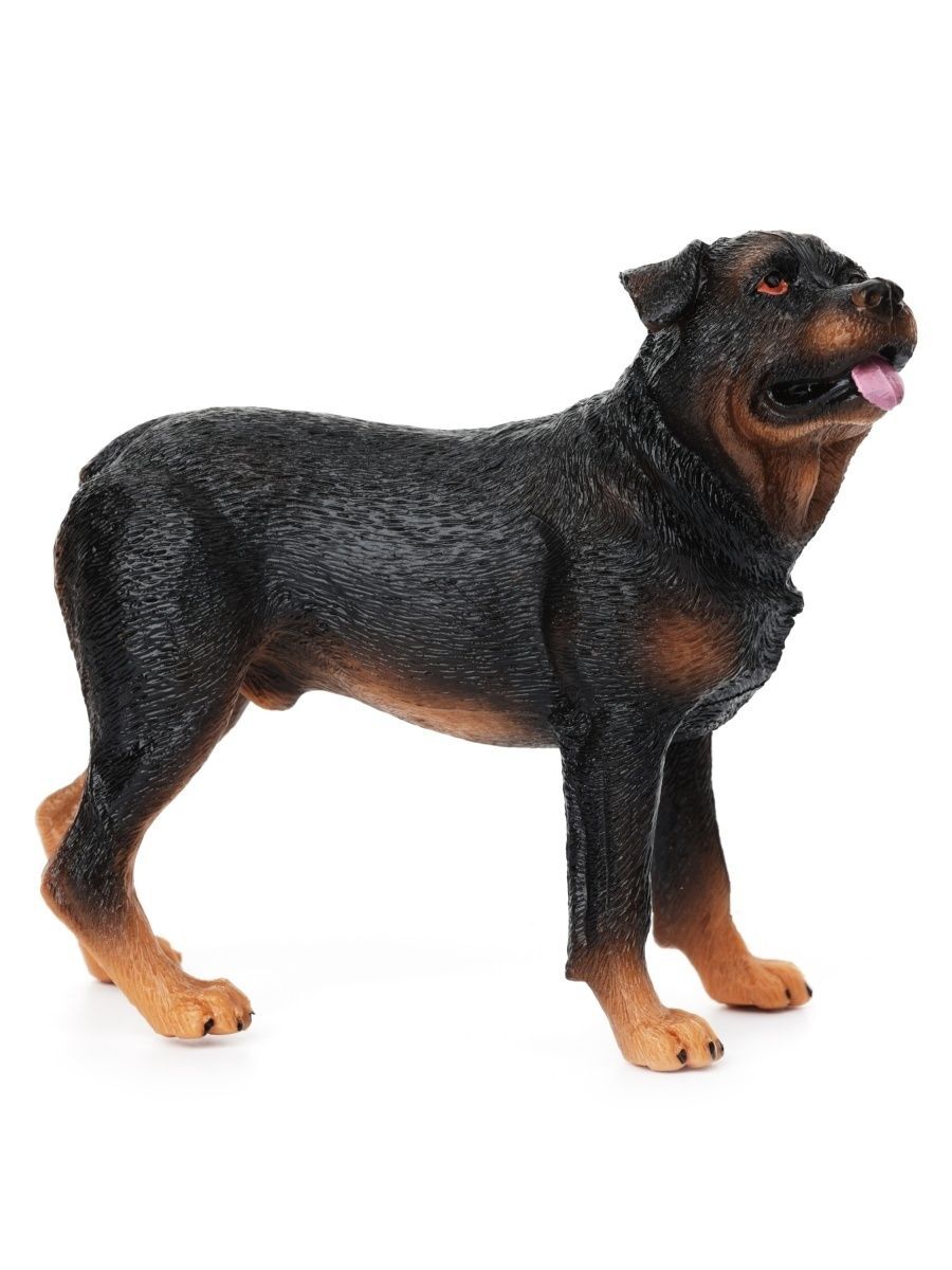 Hansa доберман. Игрушка ротвейлер. Реалистичная игрушка собака. Игрушка miyoni by aurora собака ротвейлер. Keel toys ротвейлер.