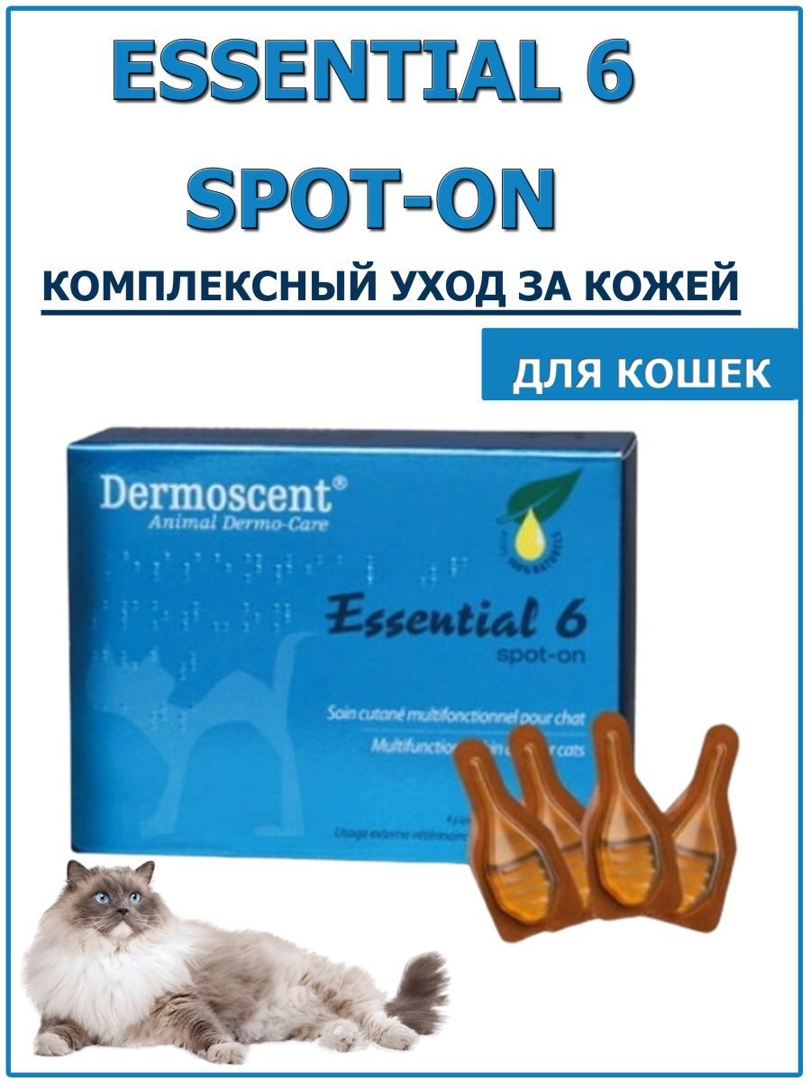 Эссеншиал 6 для кошек. Эссеншиал спот он для кошек. dermoscent essential 6 для кошек. эссеншиал 6 спот-он для кошек. капли эссеншиал для кошек.