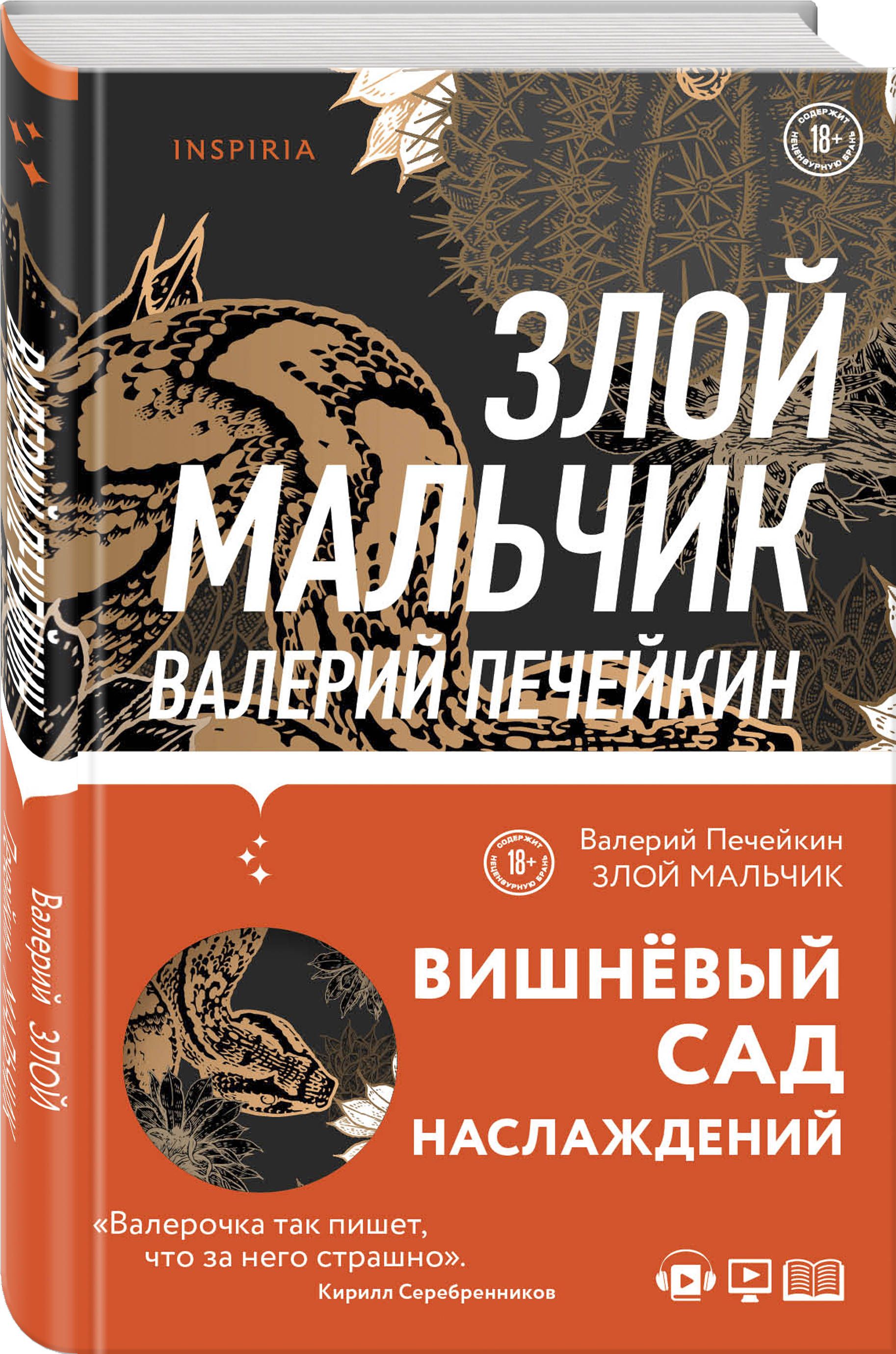 Чехов «из дневника одной девицы». Рассказ злой мальчик чехов. Произведение чехова злой мальчик. Иллюстрация к рассказу чехова злой мальчик. Злой мальчик книга печейкин.