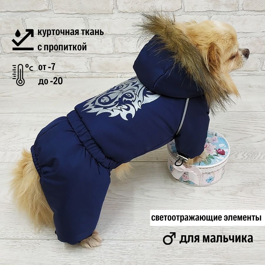 Одежда для йорка мальчика (60 фото) - картинки sauna-chelyabinsk.ru