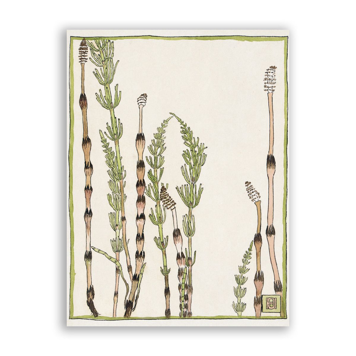 Horsetail_Mama