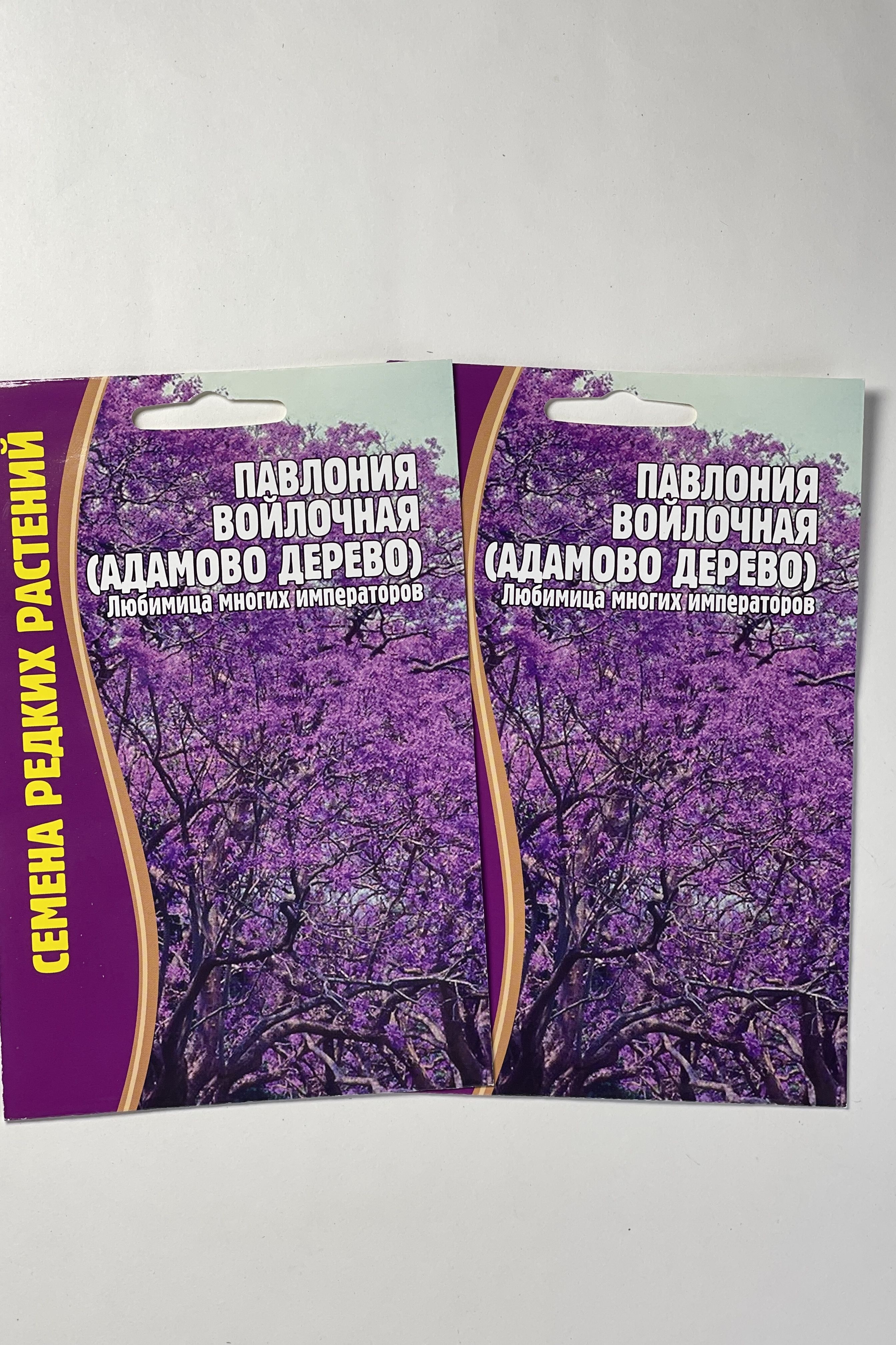 Адамово дерево описание и